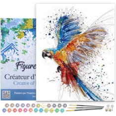 Figure'd Art numeromaalaus Parrot