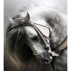 Figured Art Diamond painting ROLLED Great Horse