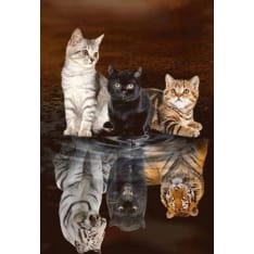 Figured Art Timanttimaalaus Kitten Reflection