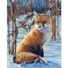 Figure'd Art Fox In The Snow numeromaalaus