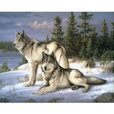 Figure'd Art Wolves Couple numeromaalaus
