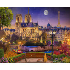 Figure'd Art numeromaalaus Notre-Dame at night