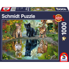 Schmidt Dream Big! 1000p palapeli