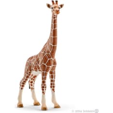 Schleich Giraffe female