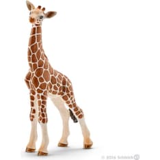 Schleich Giraffe calf