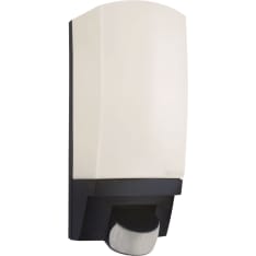 Steinel L1 sensor light