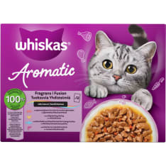 Whiskas 1+ 12x85g Aromatic Fusion kastikkeessa