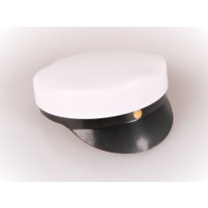 Palotro student cap plastic cake decoration