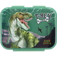 Dino World Reflector Lunch Box