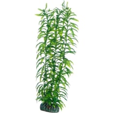 Hobby Heteranthera 34 cm aquarium decorative plant