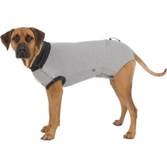 TRIXIE Protective body for dogs, XS: 25 cm, grey haavasuoja-asu koiralle