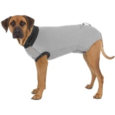 Trixie OP Body Wound protection outfit for dogs