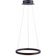 Paul Neuhaus Titus LED pendant light