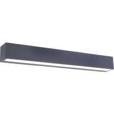 Paul Neuhaus Robert LED outdoor wall lamp