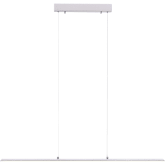 Paul Neuhaus Pure-Lite 100cm LED pendant light
