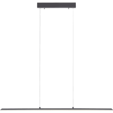 Paul Neuhaus Pure-Lite 100cm LED riippuvalaisin