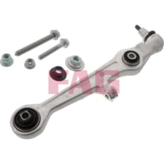 Schaeffler FAG 821 0691 10 Support arm