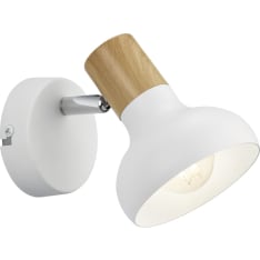 Trio Latika spottivalaisin