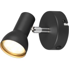 Trio Cantar spotlight