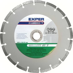 Exper Segment diamond disc