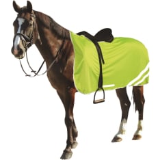 Reflective Safety Blanket