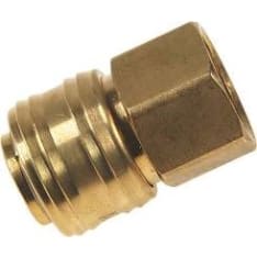 Schwan brass internal thread connector body