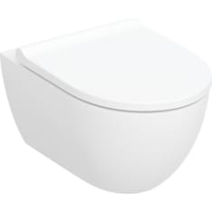 Geberit Acanto 5658216 wall-mounted toilet