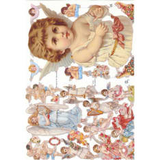 Farnia 23,5 x16,5 cm kiiltokuva