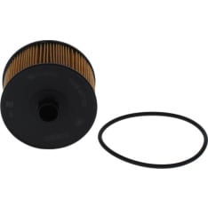 Bosch F 026 407 231 Öljynsuodatin