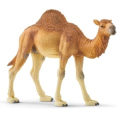 Schleich Dromedary