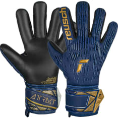 Reusch Attrakt Freegel Silver goalkeeper gloves