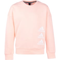 Adidas Must Haves sweatshirt for girls