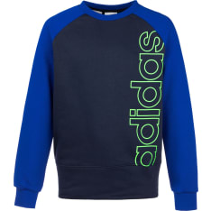 Adidas Logo boys sweatshirt