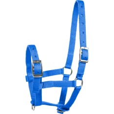Horze Foal Halter