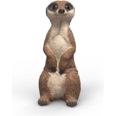 Schleich Mangusti