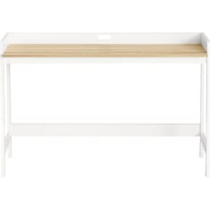 SoBuy FWT41-WN desk