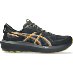 Asics GT-1000 14 Gore-Tex men's running shoes