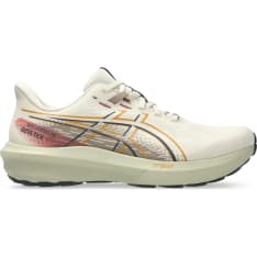 Asics GT-1000 15 Gore-Tex men's running shoes