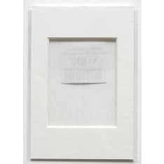 Art Link White passport