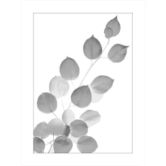 Silver leaves 30X40 poster
