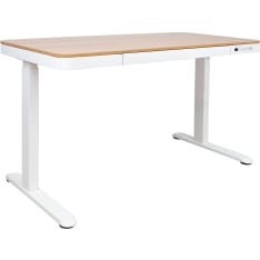HOME4YOU ERGO 120x60cm 1-motor electric height adjustable desk