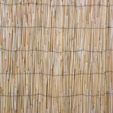 Home4you In Garden 1x5m reed laser