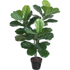 Home4you Fiddle Leaf tekopuu