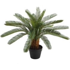 Home4you Cycas 70 cm tekokasvi