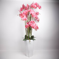 Home4you Orchid Garden Queen H132cm tekokukka