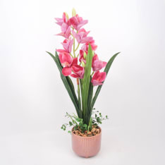Home4you Orchid GARDEN QUEEN H70cm orchid