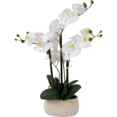 Home4you Wind In Garden orkidea tekokasvi H55cm