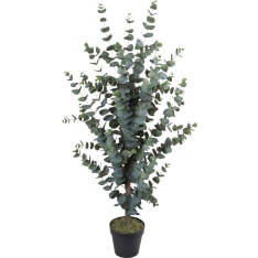 Home4you Wind Eucalyptus tekopuu