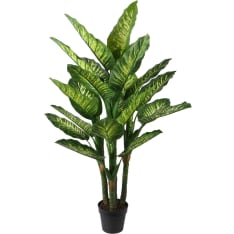 Home4you Wind Dieffenbachia H150cm tekokasvi