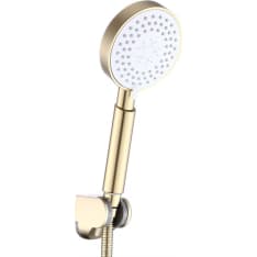 Gray Gold Collection gold hand shower set